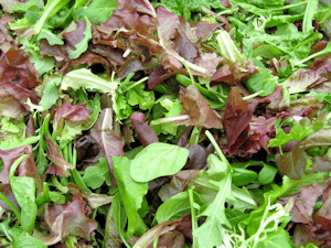 Mesclun : une mélange de salade