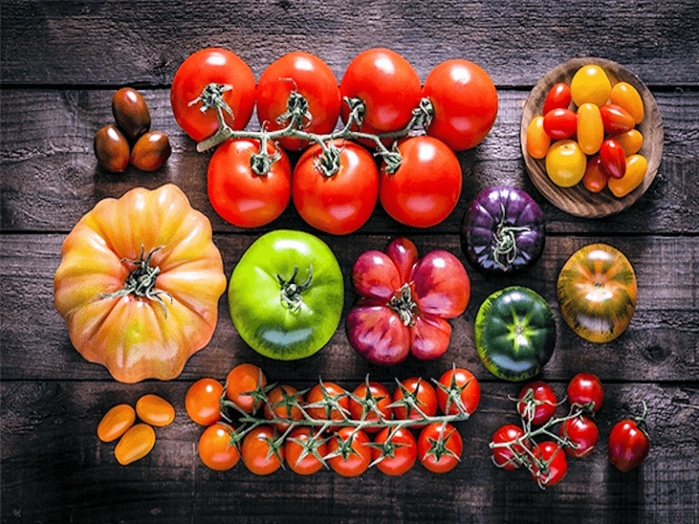 Les différentes sortes de tomates Fiches Potager Bio Potager — free download