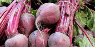 Betteraves rouges du potager