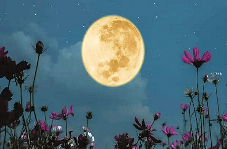 Calendrier lunaire mai 2024