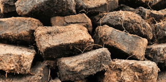 Tourbe pour le potager
