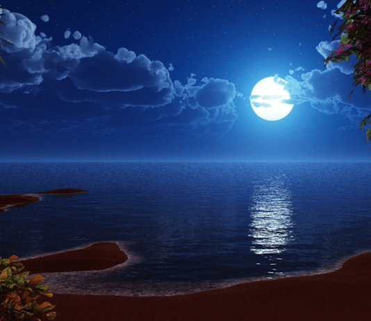 Calendrier lunaire potager juillet 2025