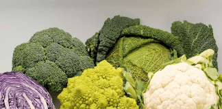 Les variétés de choux