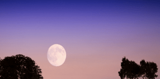 Calendrier lunaire jardinage octobre 2021